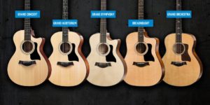 Taylor Guitars Body Shapes