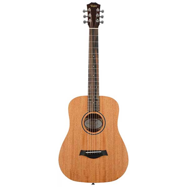 Taylor Baby BT2