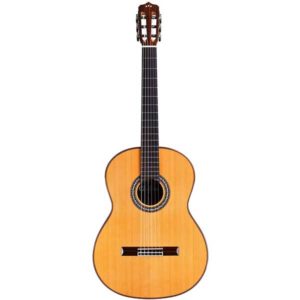 Cordoba C9 Parlor Small Body Classical Acoustic