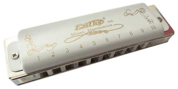 East Top Beginner Harmonica