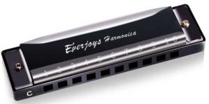 Everjoys Diatonic Harmonica