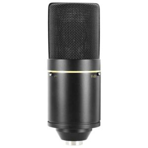 MXL-Mics-770-Cardioid-Condenser-Microphone