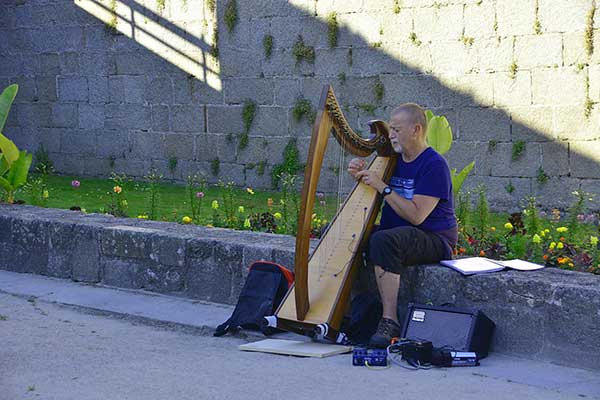 Musician playing harp