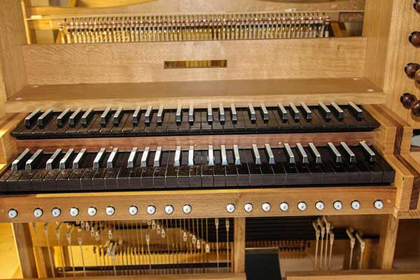 Organ Instrument