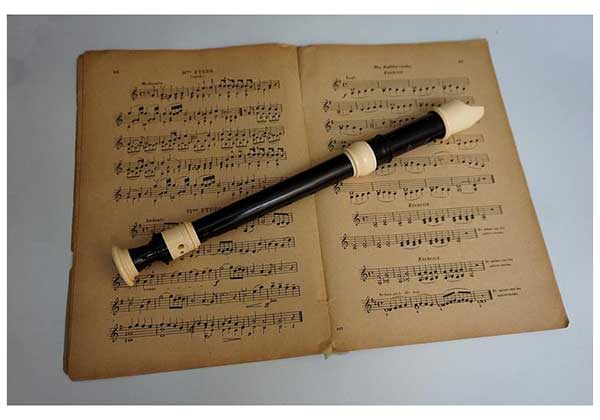 Recorder instrument