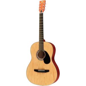 Rogue Starter Acoustic Guitar