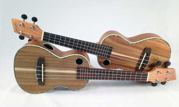 Ukulele musical instrument