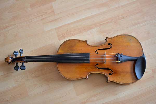 Violin