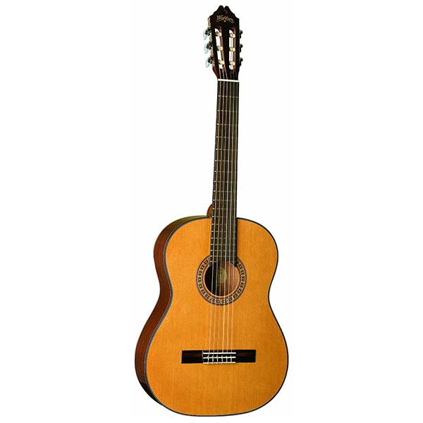 Washburn Classical C40 Nylon String Acoustic Guitar