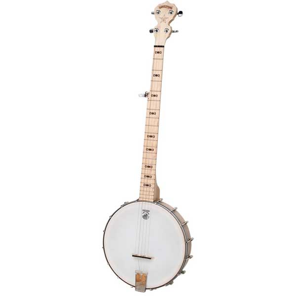 Deering Goodtime 5 String