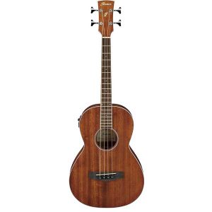 Ibanez PNB14E