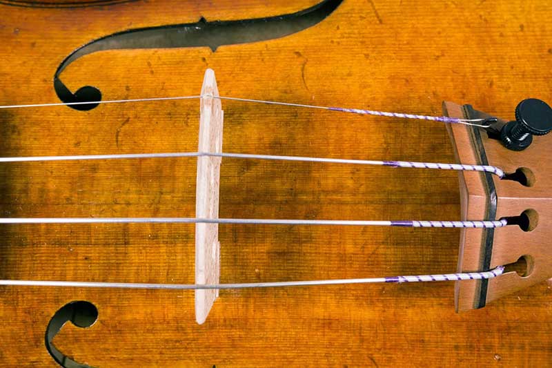 Omhyggelig læsning kalligraf slids 17 Best Violin Strings in 2023 (All Budgets & Skill Levels) - Guitar Lobby