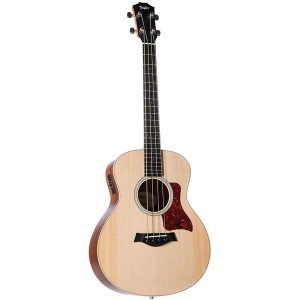 Taylor GS Mini-e