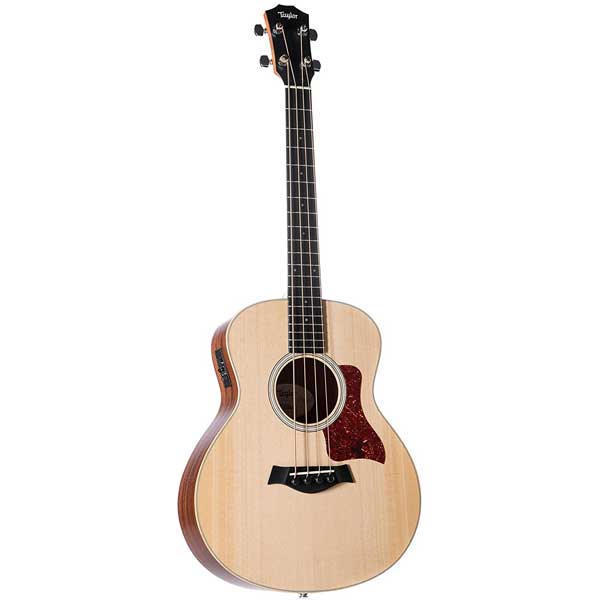 Taylor GS Mini e