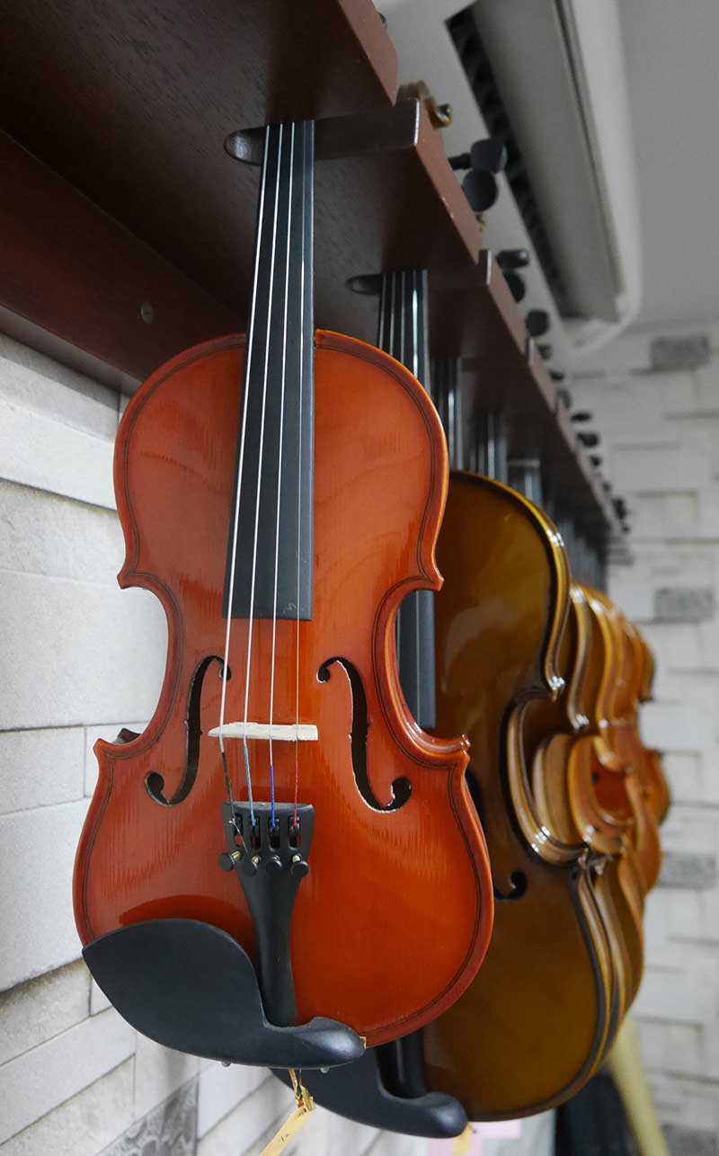 Various Violin Sizes Rack