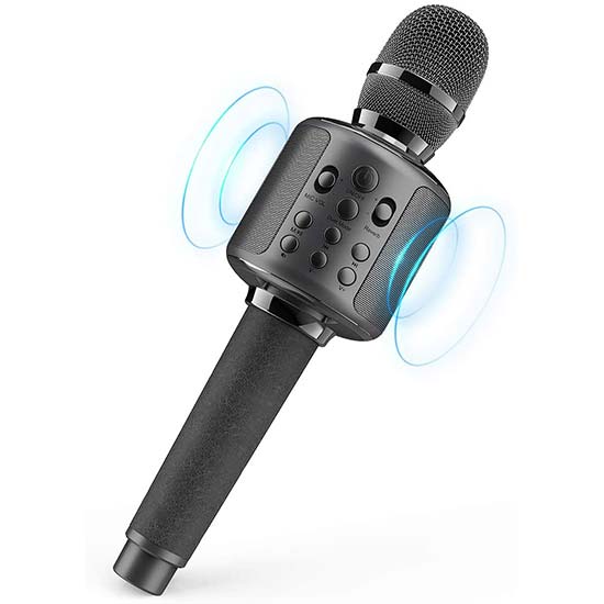 Portable Karaoke Microphone