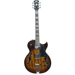 IYV IJZ-300 TSB Semi-Hollow Body Electric Guitar