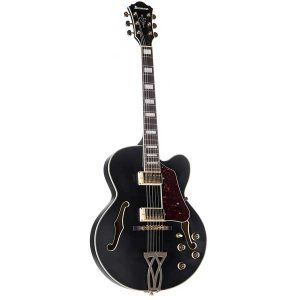 Ibanez Artcore Series AF75G Hollowbody Electric Guitar