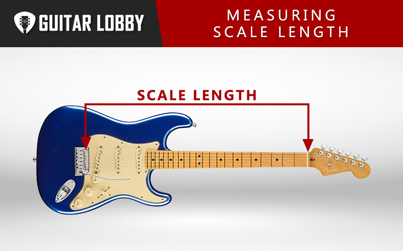 Measuring Scale Length Infographic