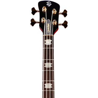 Spector Bass Guitar