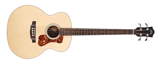 Acoustic Bass Guitar Example