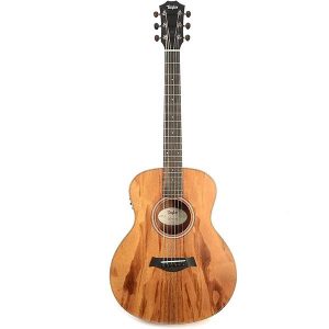 Taylor GS Mini-e Solid