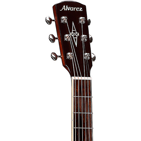 Alvarez Acoustic Guitar Brand Example