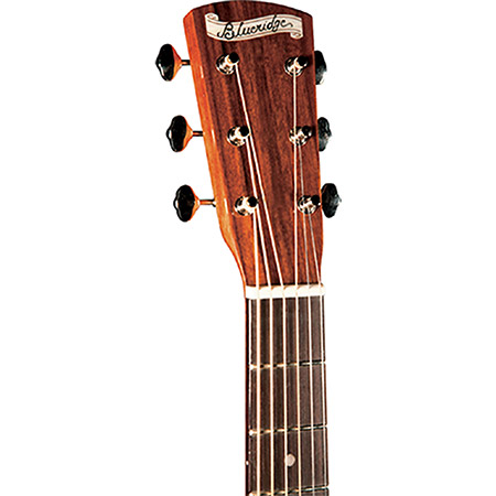 Blueridge Acoustic Guitar Brand Example