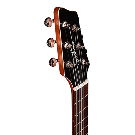 Godin Acoustic Guitar Brand Example