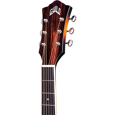 Guild Acoustic Guitar Brand Example