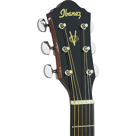 Ibanez Acoustic Guitar Brand Example