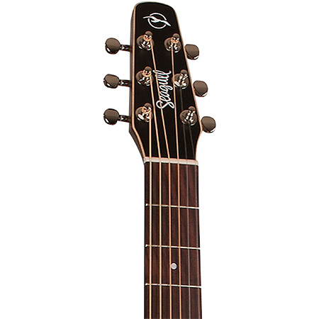 Seagull Acoustic Guitar Brand Example