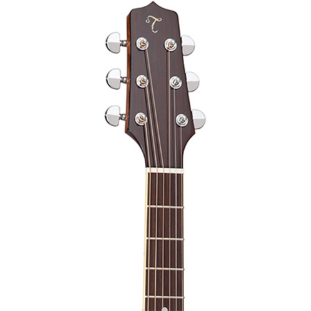 Takamine Acoustic Guitar Brand Example