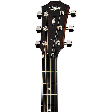 Taylor Acoustic Guitar Brand Example