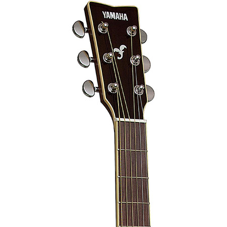 Yamaha Acoustic Guitar Brand Example