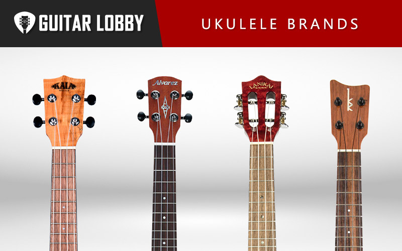 pedicab Observation belønning 20 Best Ukulele Brands 2023 (Beginners & Pros) - Guitar Lobby