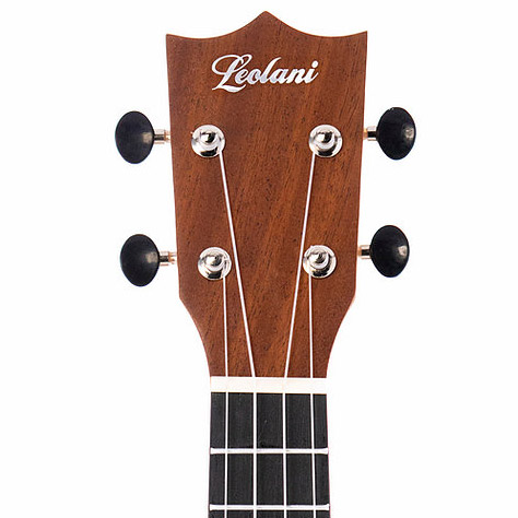 Leolani ukulele example