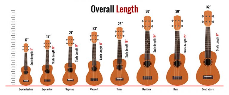 The 8 Ukulele Sizes (with Comparison Chart) 2022 - Guitar Lobby