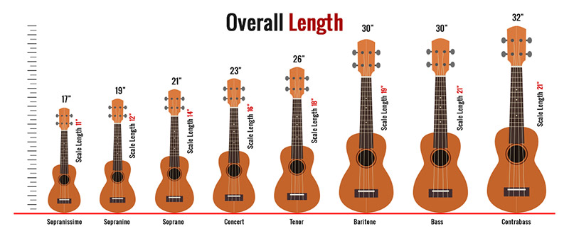 Ukulele Sizes Comparison Chart