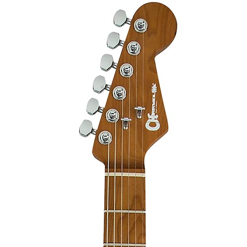 Charvel Electric Guitar Brand Example