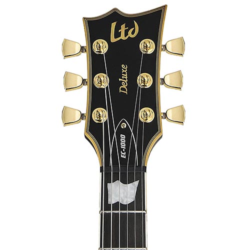 ESP Guitar Brand Example