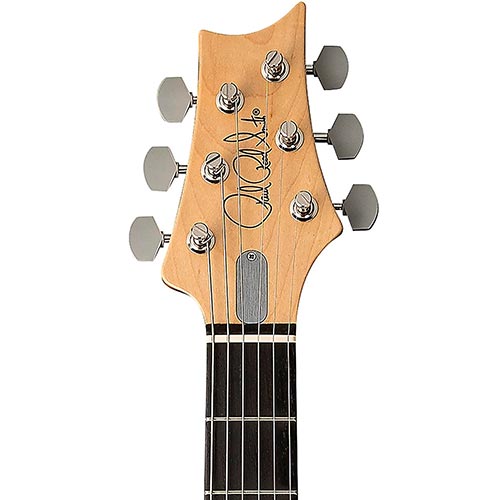 PRS Guitar Brand Example