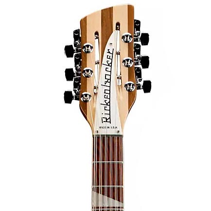 Rickenbacker Guitar Brand Example