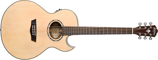 Unnamed Washburn Acoustic Guitar