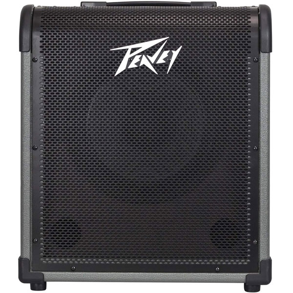 Peavey MAX 100