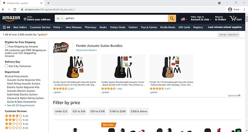 Screenshot of Amazon Website Guitar Search
