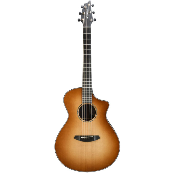 Breedlove Premiere Concert CE