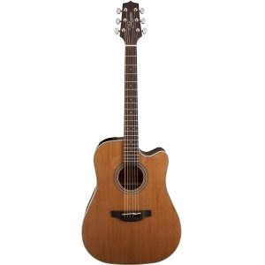 Takamine GD20CE-NS