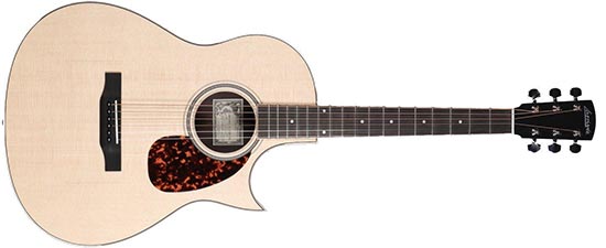 Larrivee C-03-TE Custom Tommy Emmanuel Single Cut