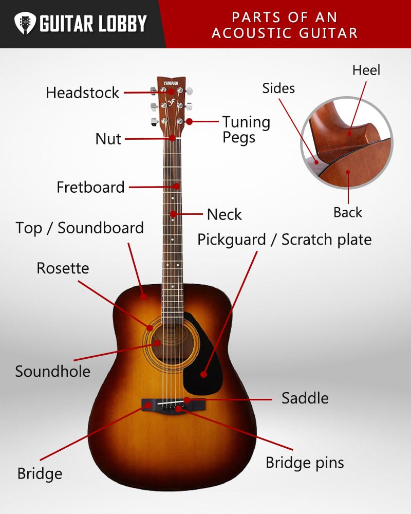 Parts of an Acoustic Guitar Diagram